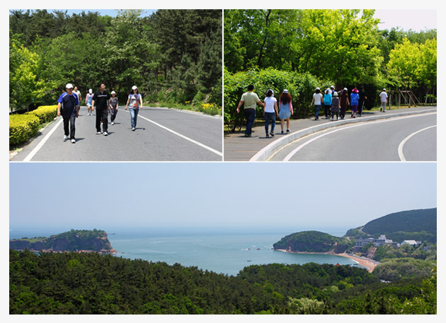 大連凱美進出口集團有限公司組織戶外徒步活動